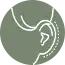 Otoplastia icon